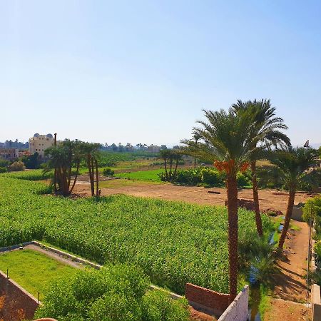 Farida Apartments Louxor Extérieur photo