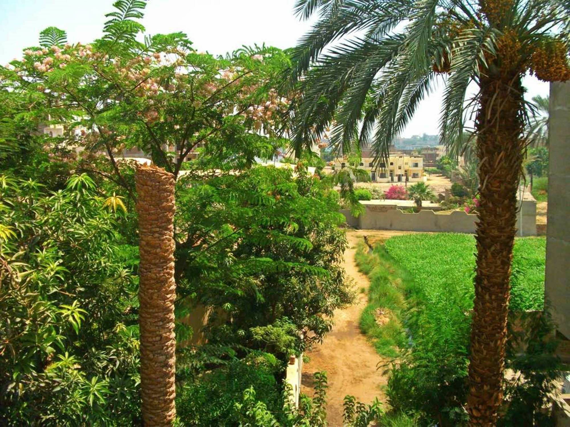 Farida Apartments Louxor Extérieur photo