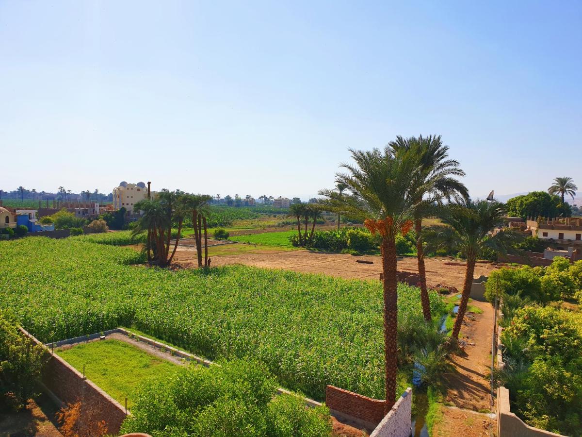 Farida Apartments Louxor Extérieur photo