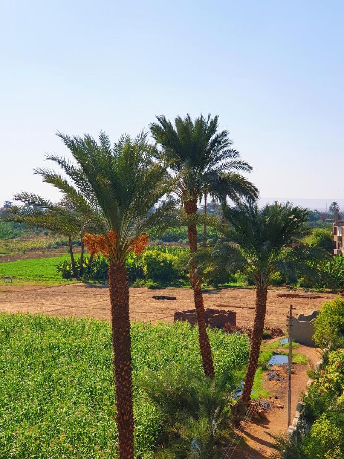 Farida Apartments Louxor Extérieur photo